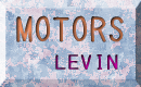 LEVIN