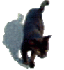 傩